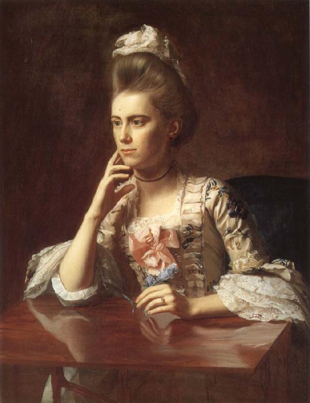 John Singleton Copley Mrs Richard Skinner oil painting image